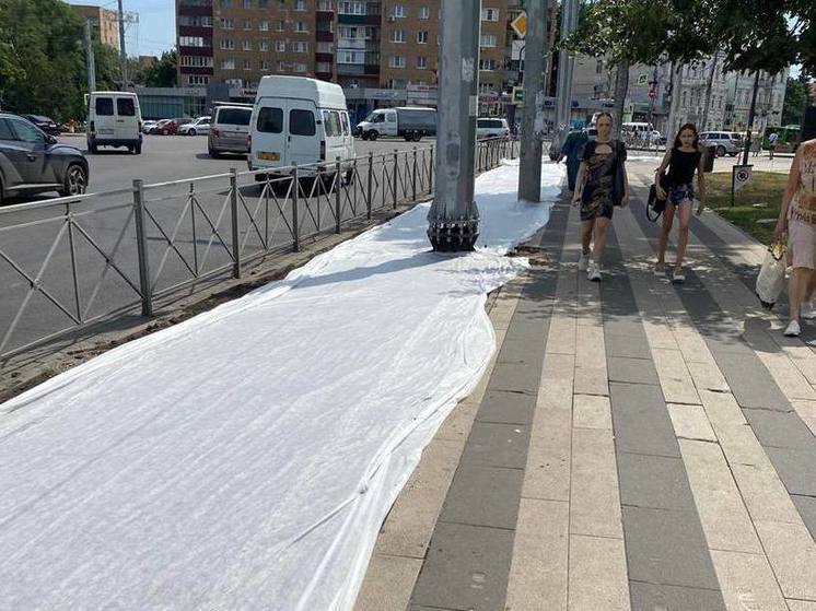 В курском парке имени Перекальского разбили газон