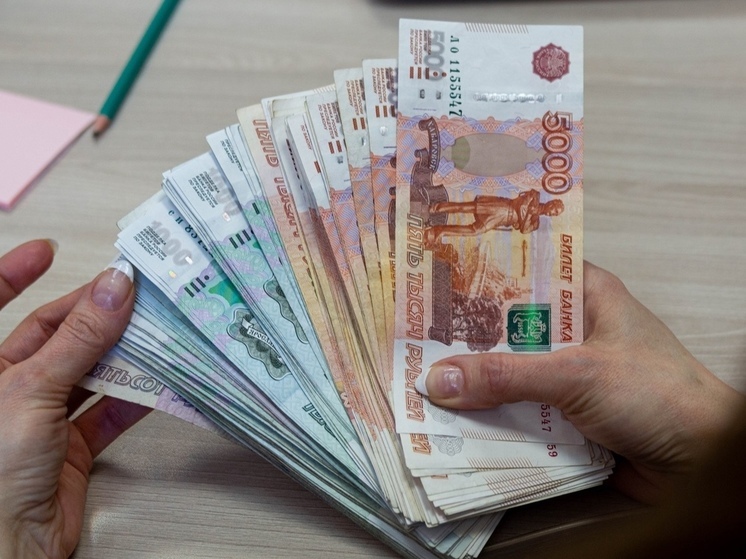 Женщина из Новосибирска выплатила 5,9 млн долга, чтобы не опозориться перед работодателем