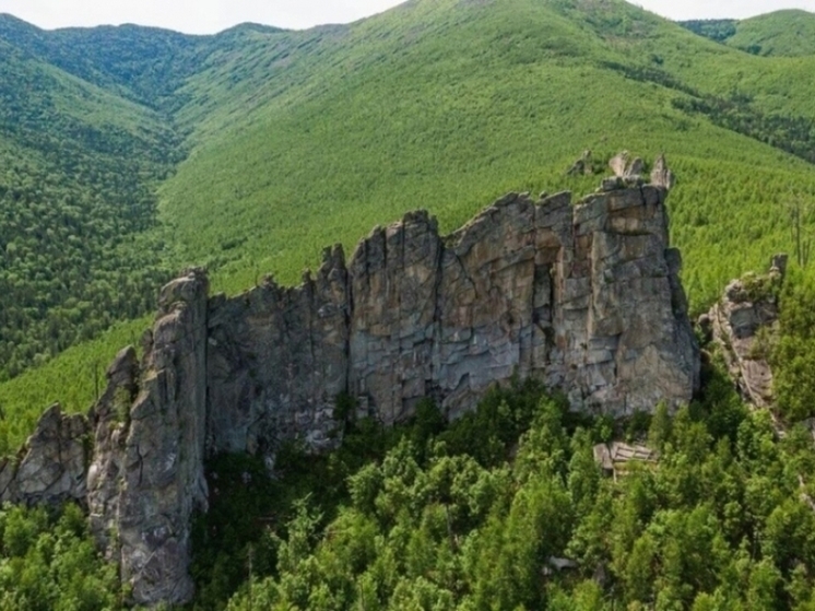 Жителям Хабаровского края предлагают искать сокровища с хаски и снять фильм для конкурса