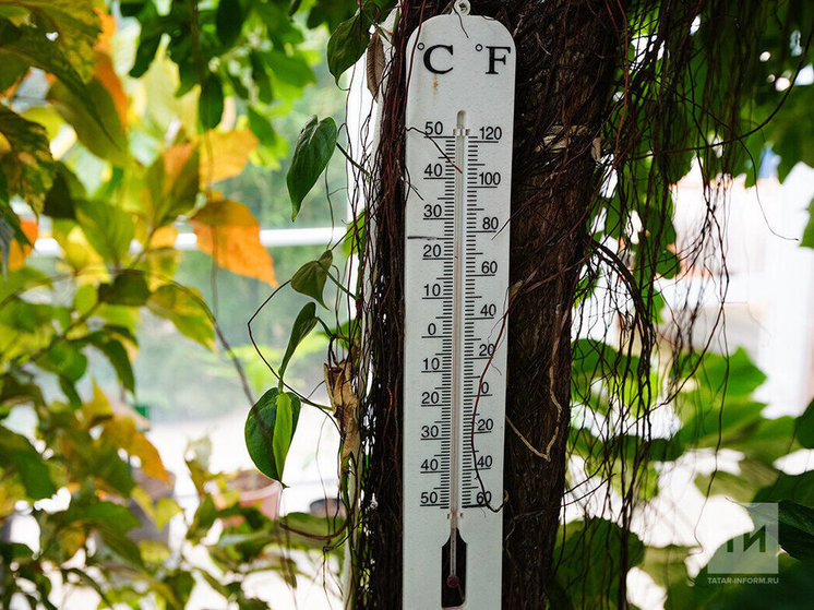 Температура в Казани превышает климатическую норму на 5-8 градусов