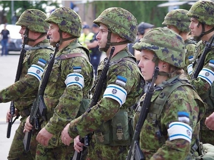 «Ни одного танка и самолета»: «яростный» союзник Украины Эстония заявила о плачевном состоянии своей армии