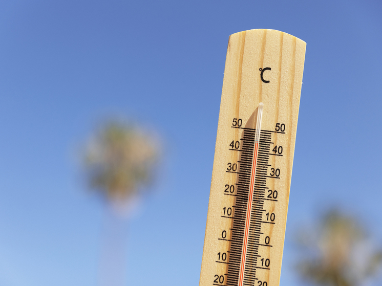  Солнечное коварство: как обезопасить себя от теплового удара