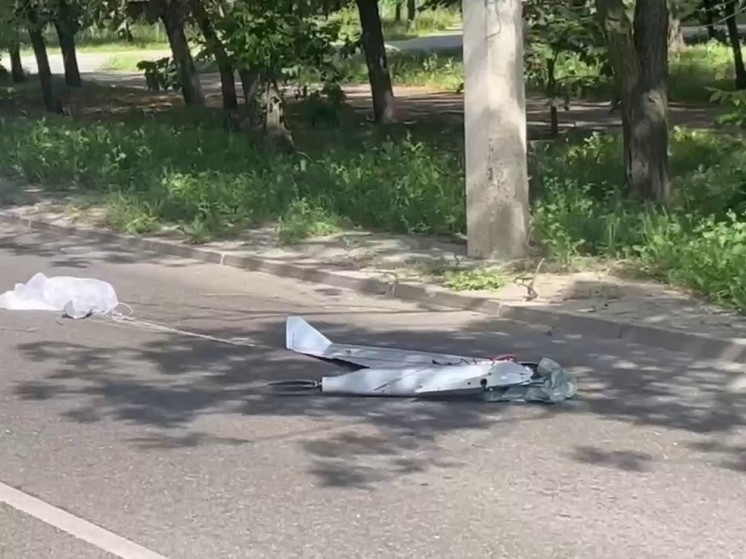 Демидов: в Белгороде упал украинский беспилотник