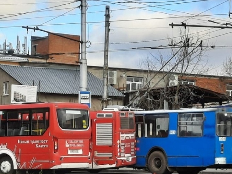 Из-за упавшего дерева в Калуге встали троллейбусы