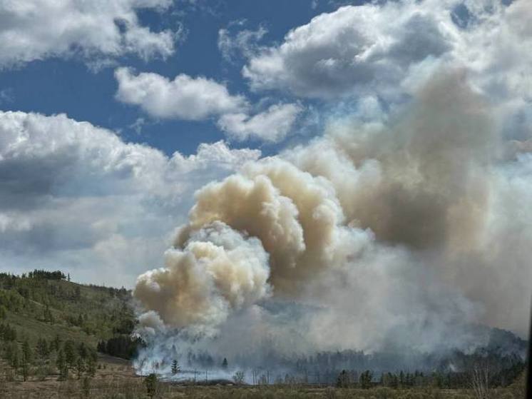 90 лесных пожаров действуют в Забайкалье