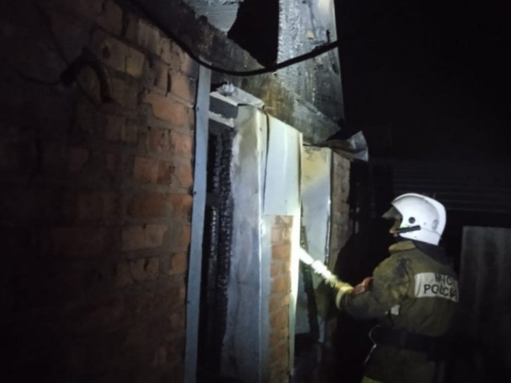 В Ростовской области брат и сестра погибли при пожаре в частном доме