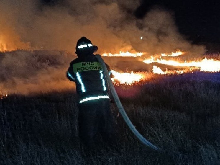 В Херсонской области ликвидировали 15 пожаров за сутки
