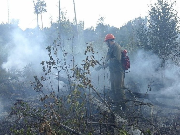 Лесной пожар потушили в 3 км от подмосковного Ногинска