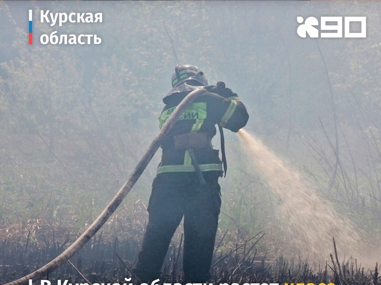 За сутки в Курской области спасатели выезжали на тушение сухой травы и мусора 9 раз