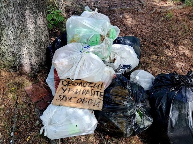 Фотофакт: сволочей в Петрозаводске потребовали убрать мусор за собой