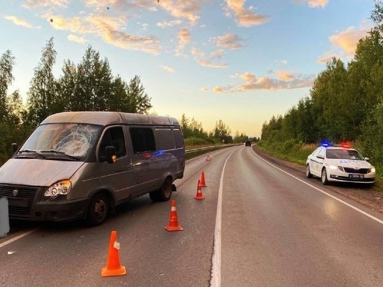 Четыре человека пострадали в ДТП на новгородских дорогах