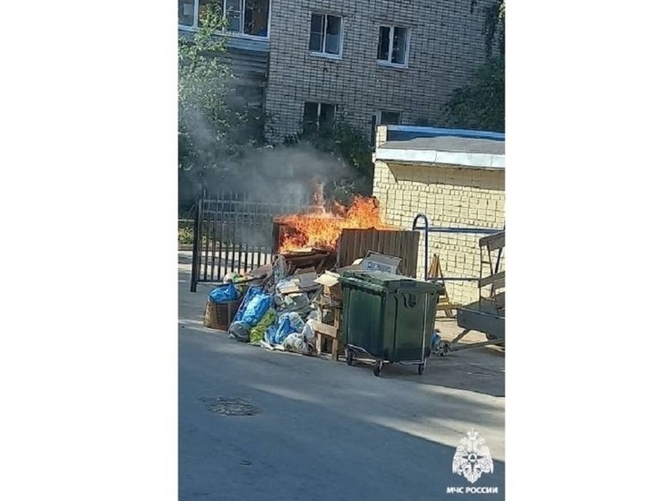 Двое детей устроили поджог строительного мусора в Вологде