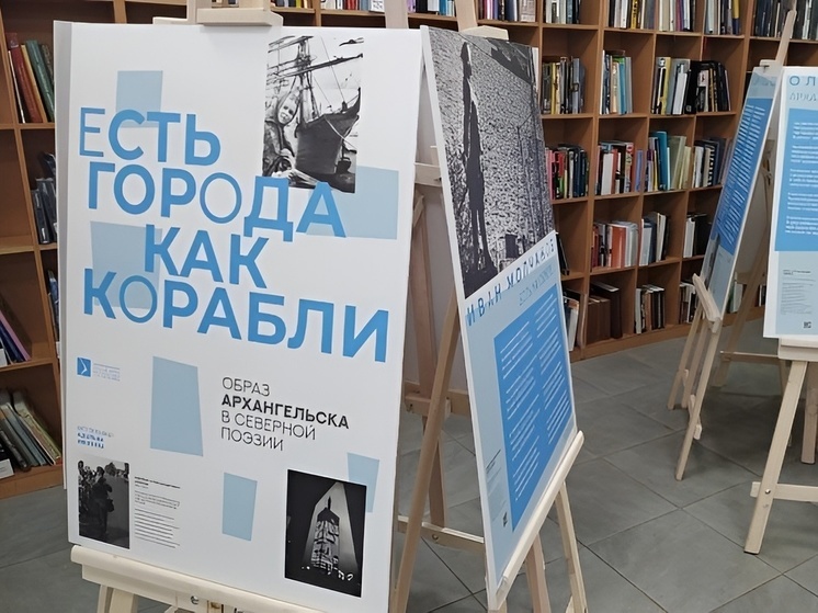 В Архангельске завтра Летний читальный зал Добролюбовки