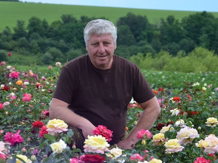 Соцконтракт помог белгородцу заняться выращиванием роз