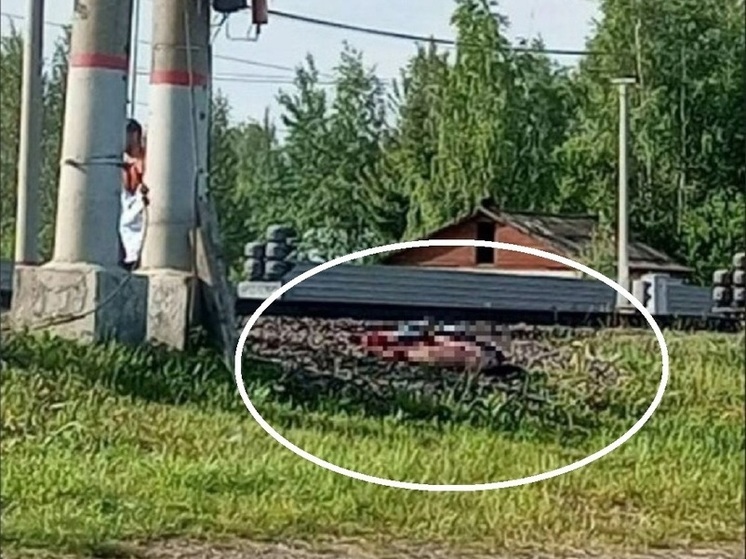 В Ярославском районе человек погиб на железнодорожном переезде