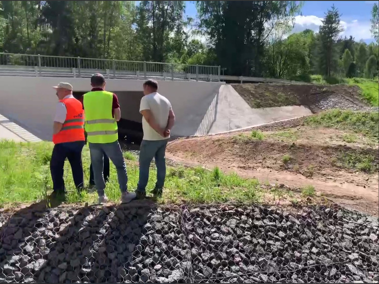 Около 90 млн рублей выделили на ремонт моста в Стругокрасненском районе