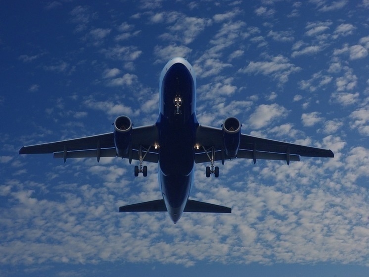 Пассажир авиарейса в Омск устроил скандал на борту из-за ручной клади