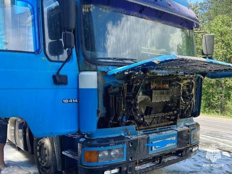 Пожарные потушили загоревшуюся машину в Брянске
