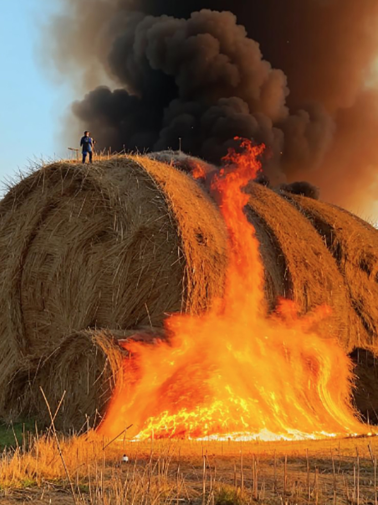 Почти 9 тонн сена сгорели на камчатском сельхозпредприятии