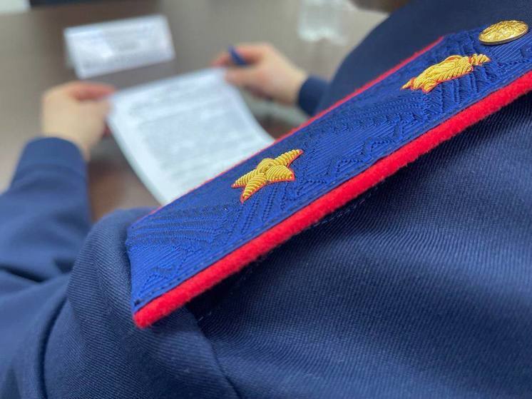 МВД: задержаны подозреваемые в мошенничестве супруги-криптовалютчики