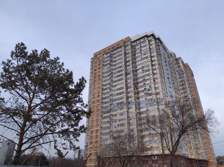 В мэрии Хабаровска рассказали новые сведения о комплексной застройке территорий