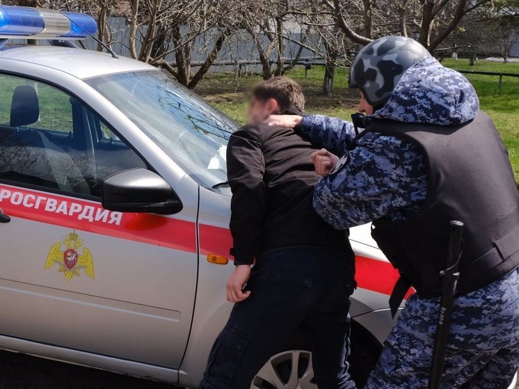 В Мирном росгвардейцы задержали вора