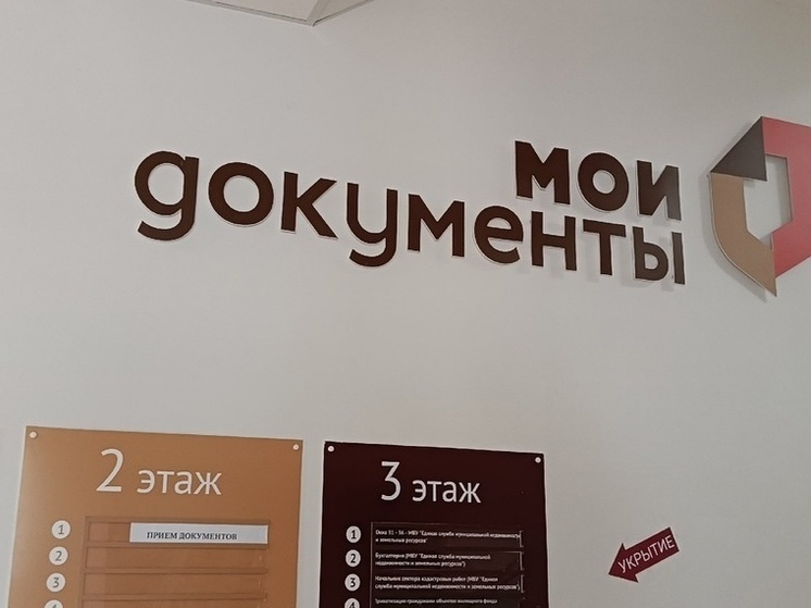 Двадцать офисов МФЦ намерены открыть в Донбассе и Новороссии