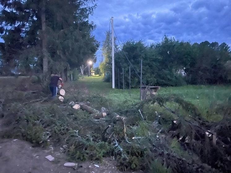 В Тверской области после непогоды продолжают возвращать свет и воду