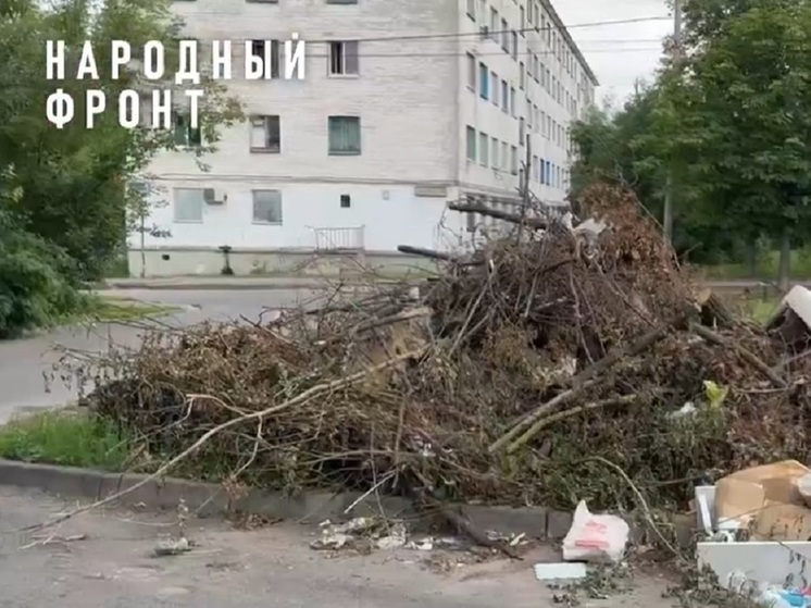 После начала мусорной реформы, почти пять лет назад, Орловская область показала себя в этом вопросе не с лучшей стороны