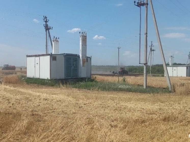 В Ракитянском районе произошел пожар на пшеничном поле