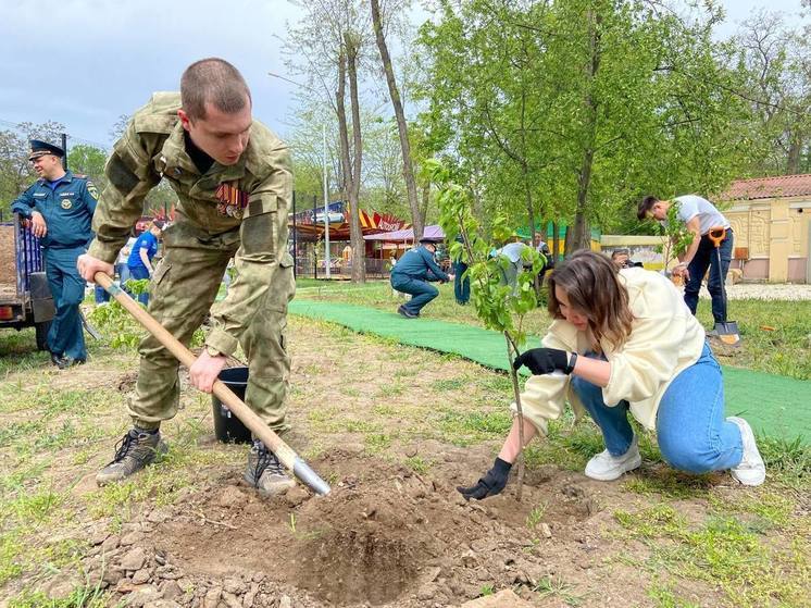 Акция "Сад памяти" в Запорожской области продлена до конца года