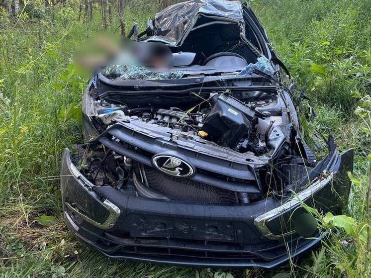 Полиция ищет очевидцев смертельного ДТП в Клепиковском районе