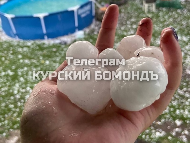 В Курской области град размером с куриное яйцо побил урожай