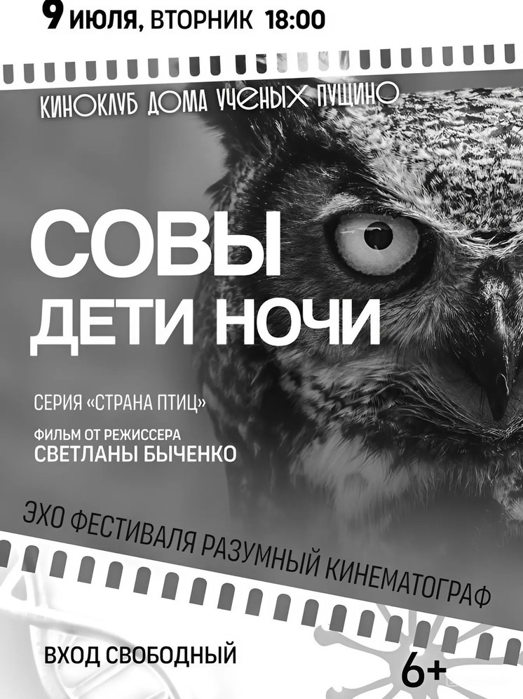 В Пущино продолжается показ фильмов документального сериала «Страна птиц»