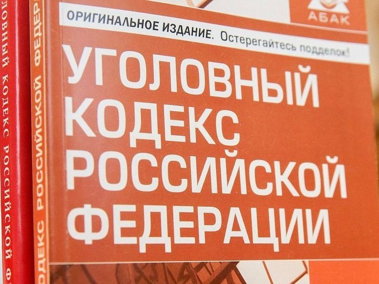 Томичи могут высказаться за или против конфискации имущества организаторов нелегальной миграции