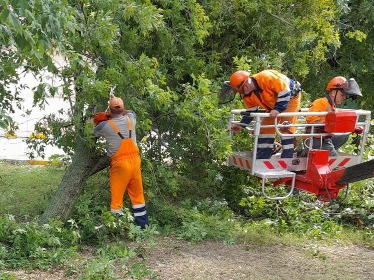 Во время урагана в Рязани пострадала женщина