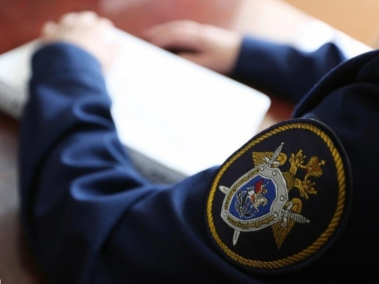 СК РФ проведет проверку по факту гибели мужчины на производстве в Тульской области
