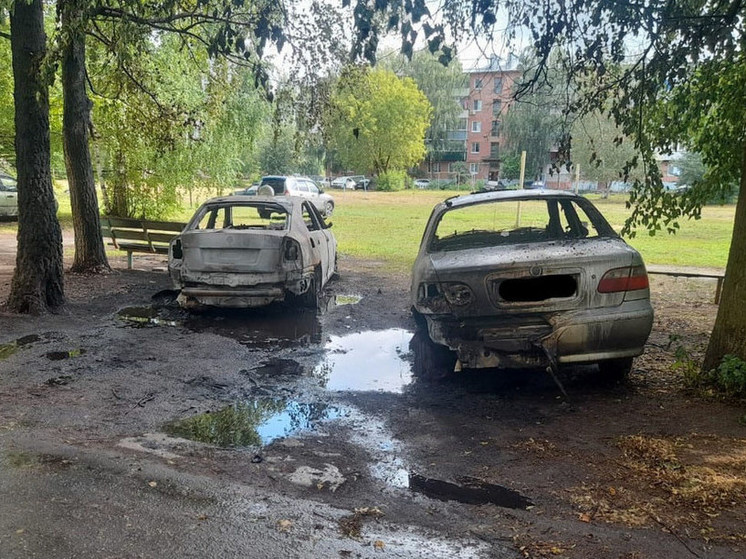 В Сасове сгорели два автомобиля
