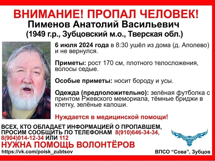 Пенсионер с бородой и усами пропал в Тверской области
