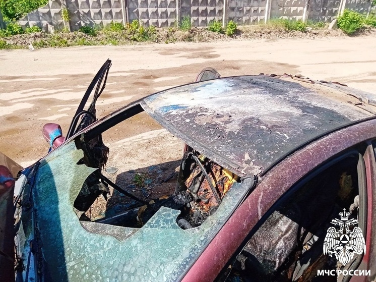 В садовом товариществе под Смоленском сгорел автомобиль