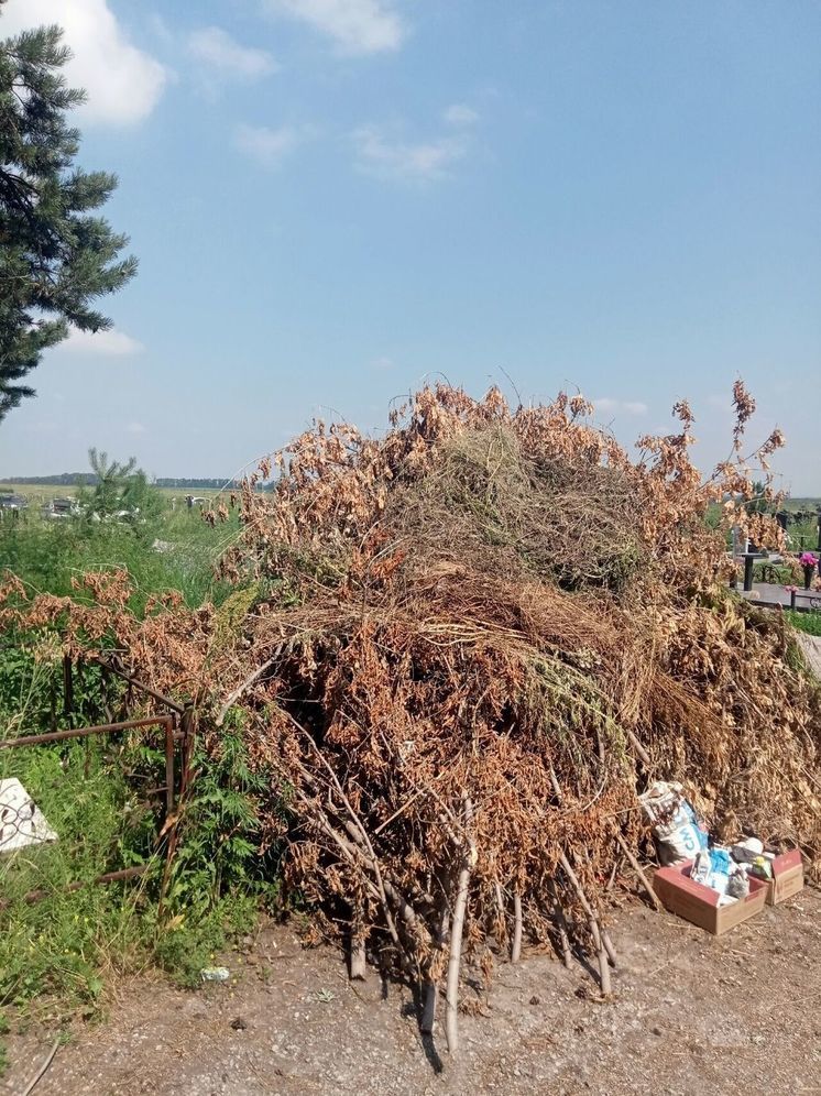 Жители кузбасского города разгневались свалкой на городском кладбище