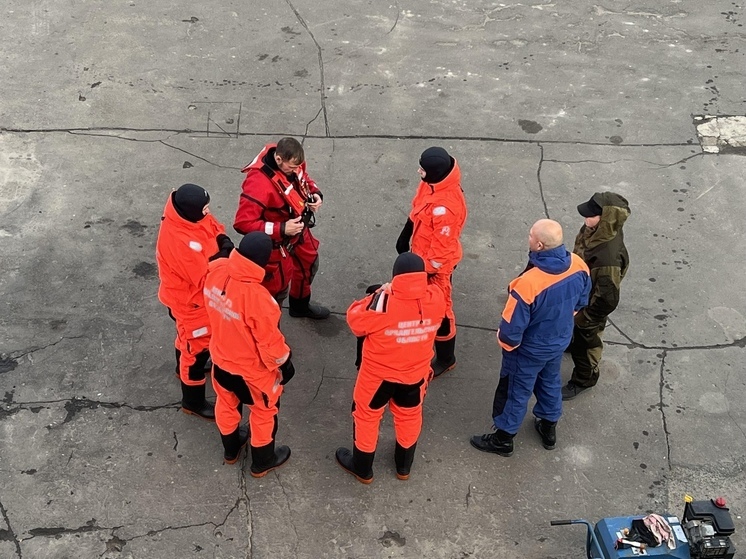 Молодой мужчина нырнул в реку с Кузнечевского моста в Архангельске