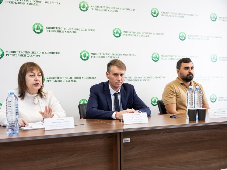 В Минлесе Хакасии предложили продавать древесину на новых условиях