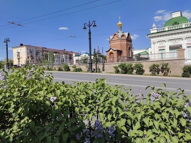 Тёплую погоду без осадков пообещали синоптики омичам на следующей неделе