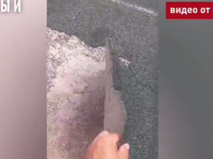 Житель Борзи показал разрушающуюся спортплощадку за 4 млн рублей