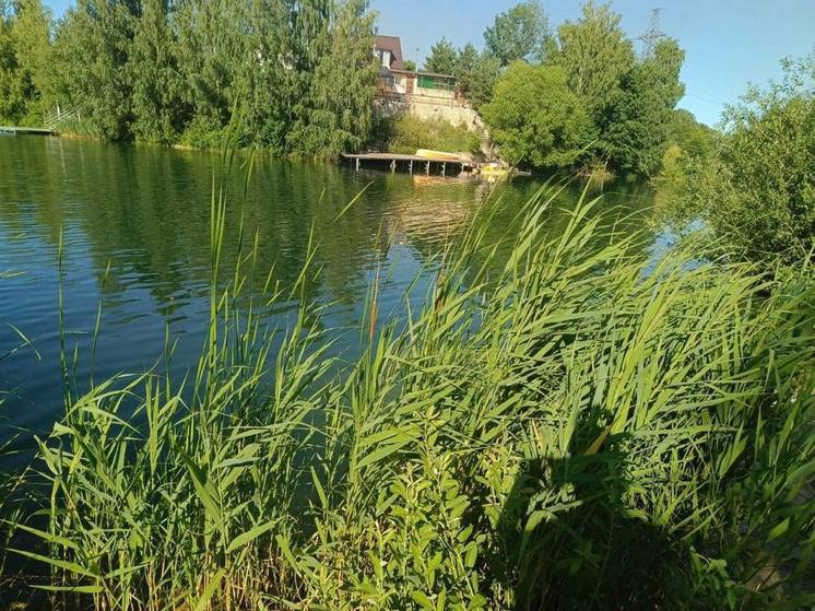 В Новомичуринске под Рязанью утонул 17-летний подросток