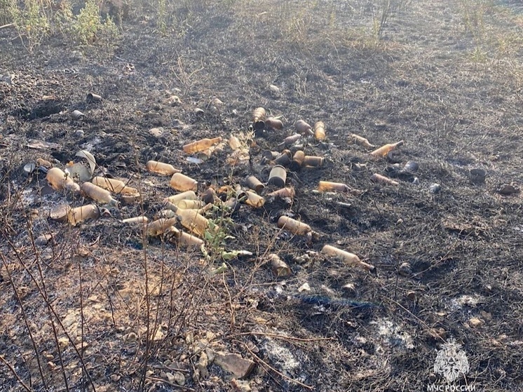 В Ростовской области из-за брошенного мусора произошел крупный ландшафтный пожар