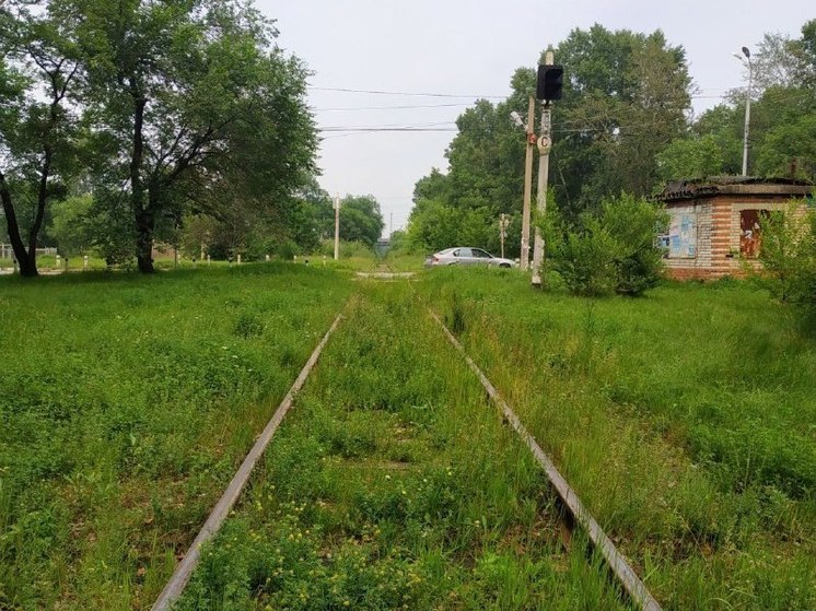 В Хабаровске 8 июля отступила жара, температура воздуха опустилась до +21 градуса