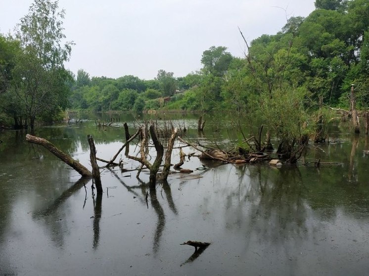 В Хабаровске снова захламлен водоем между улицами Томская и Черняховского