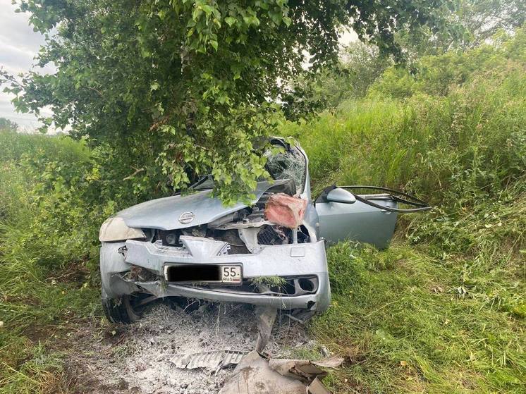 Под Омском водитель иномарки врезался в дерево и погиб